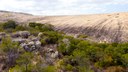 Foto de manodecarvalho-Fazenda Salambaia-mata na encosta do lajedo.JPG