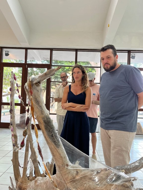 WhatsApp Image 2025-12-01 at 16.08.51 (1).jpeg