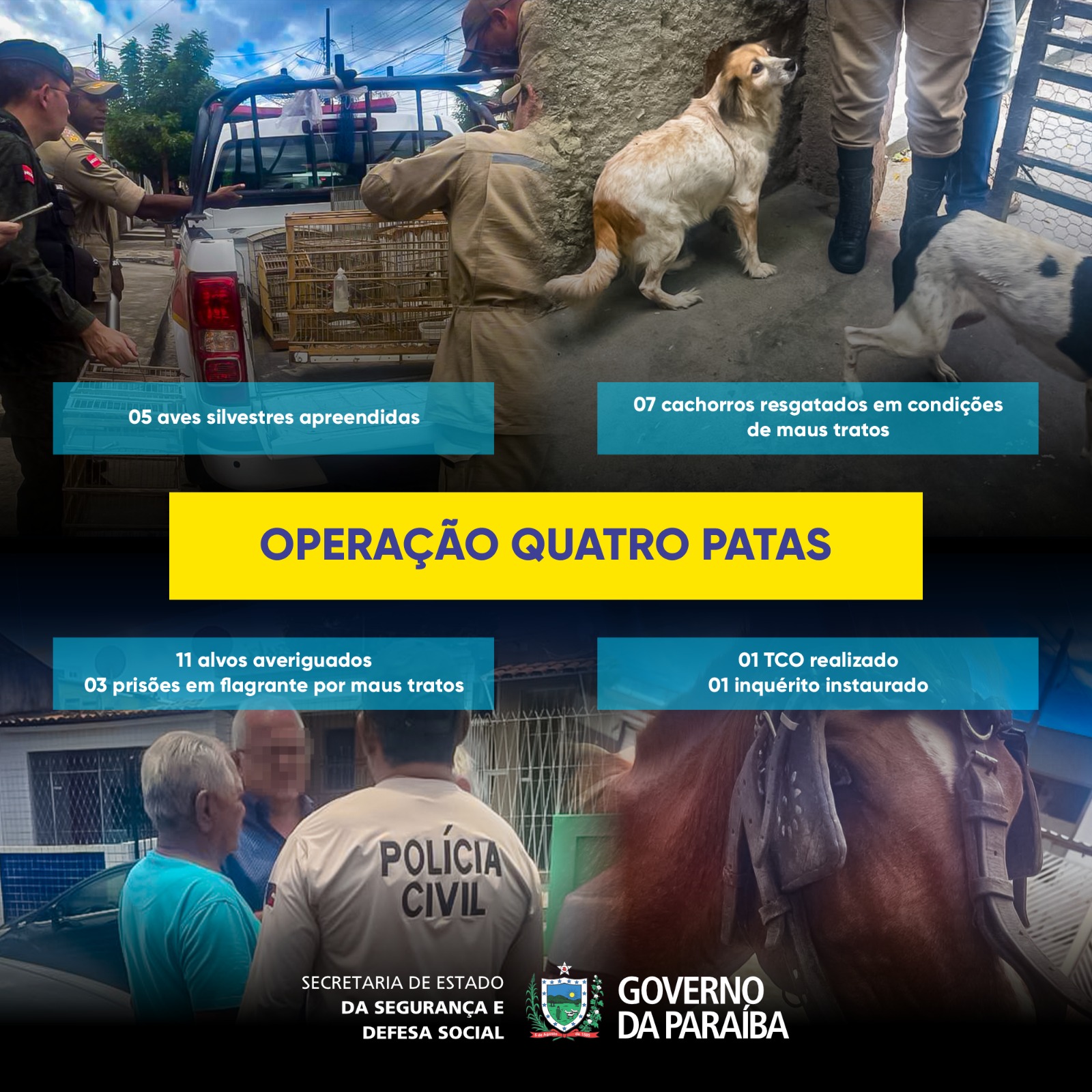 Quatro Patas CG.jpg