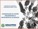 Coordenador da Central Integrada de Alternativas Penais participa de reunião sobre gestão orçamentária e instrumentos de repasses.jpg