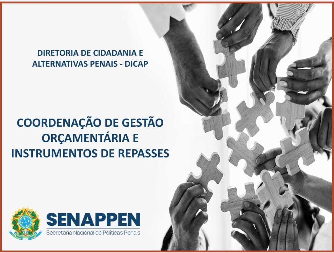 Coordenador da Central Integrada de Alternativas Penais participa de reunião sobre gestão orçamentária e instrumentos de repasses.jpg