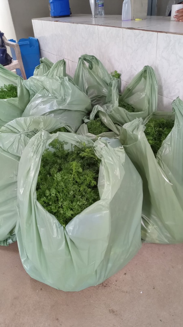 WhatsApp Image 2023-03-01 at 11.36.30.jpeg