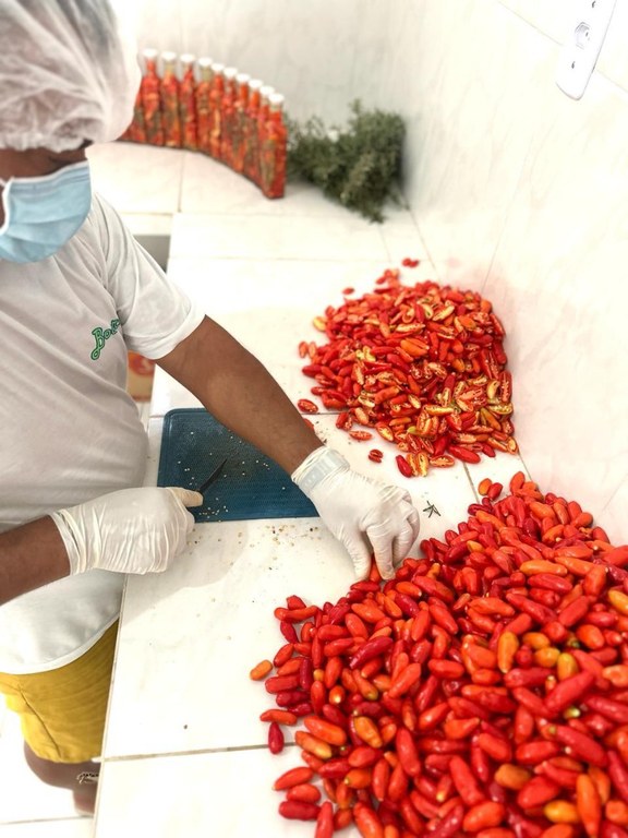 Ressocialização na cadeia de Remígio_artesanato_pimenta_cachecol_10.jpeg