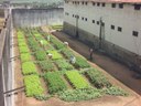 Hortas para a Liberdade na Penitenciária de Santa Rita_10.jpg