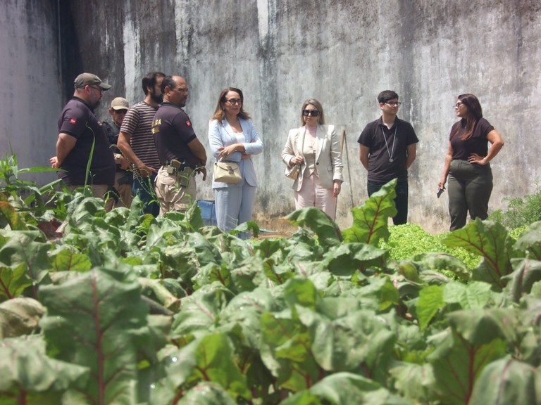 Parceria Seap-PB e Juizado Especial Misto da Comarca de Santa Rita amplia projeto 'Hortas para a Liberdade', na Penitenciária Padrão_2.jpg