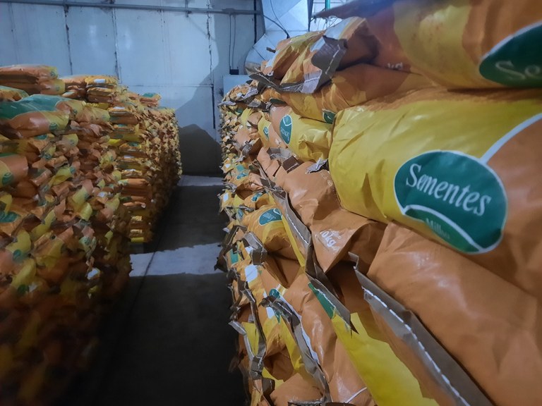 Sementes - Deposito - Polo da Sedap-PB em Esperança.jpg