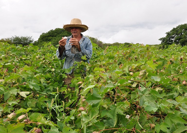 26_06_19 Agricultor recupera vegetação em margem de riacho e diversifica atividades (2).JPG