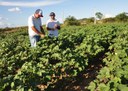 10_07_19 Jovem retorna ao meio rural e diz que vale a pena trabalhar no Semiárido (1).JPG