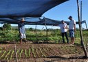 10_07_19 Jovem retorna ao meio rural e diz que vale a pena trabalhar no Semiárido (3).JPG