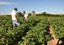 10_07_19 Jovem retorna ao meio rural e diz que vale a pena trabalhar no Semiárido (6).JPG