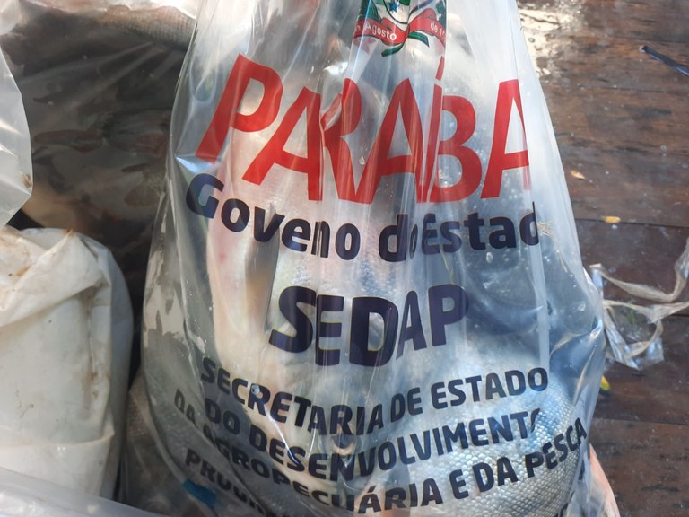 Peixe Sedap Foto Clóvis Roberto.jpg