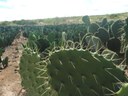 DSCN7005.JPG