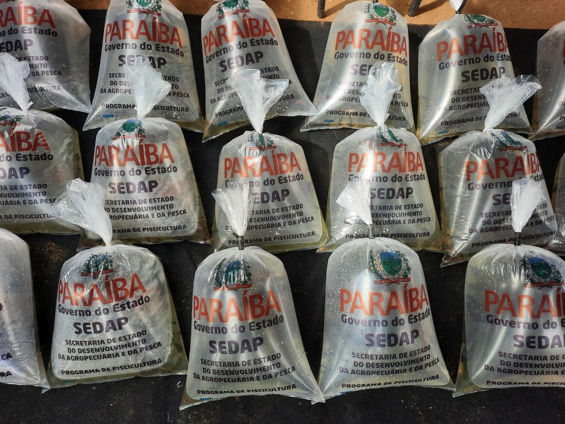 Programa de Piscicultura da Paraíba encerra ano com produção aproximada de 7 milhões de alevinos