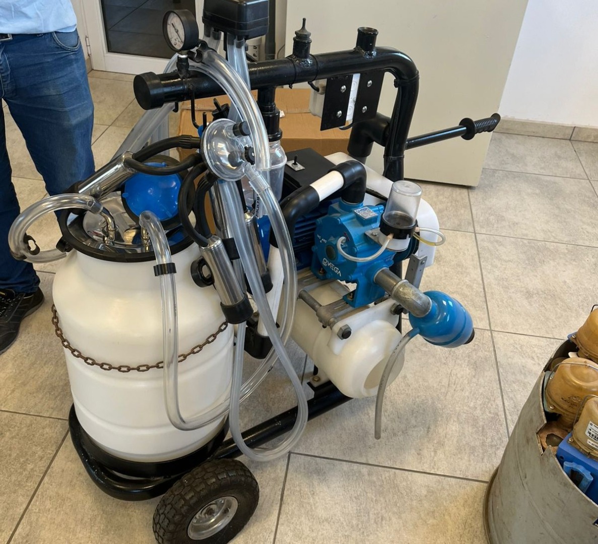 agenda argentina cafypel (3).jpeg